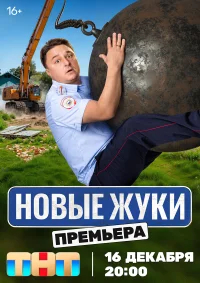 Жуки бесплатно в HD