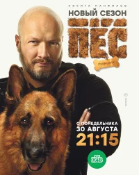 Пёс бесплатно в HD