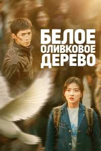 Белое оливковое дерево бесплатно в HD